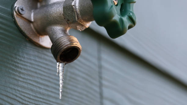 Best Emergency Plumber  in East Palatka, FL